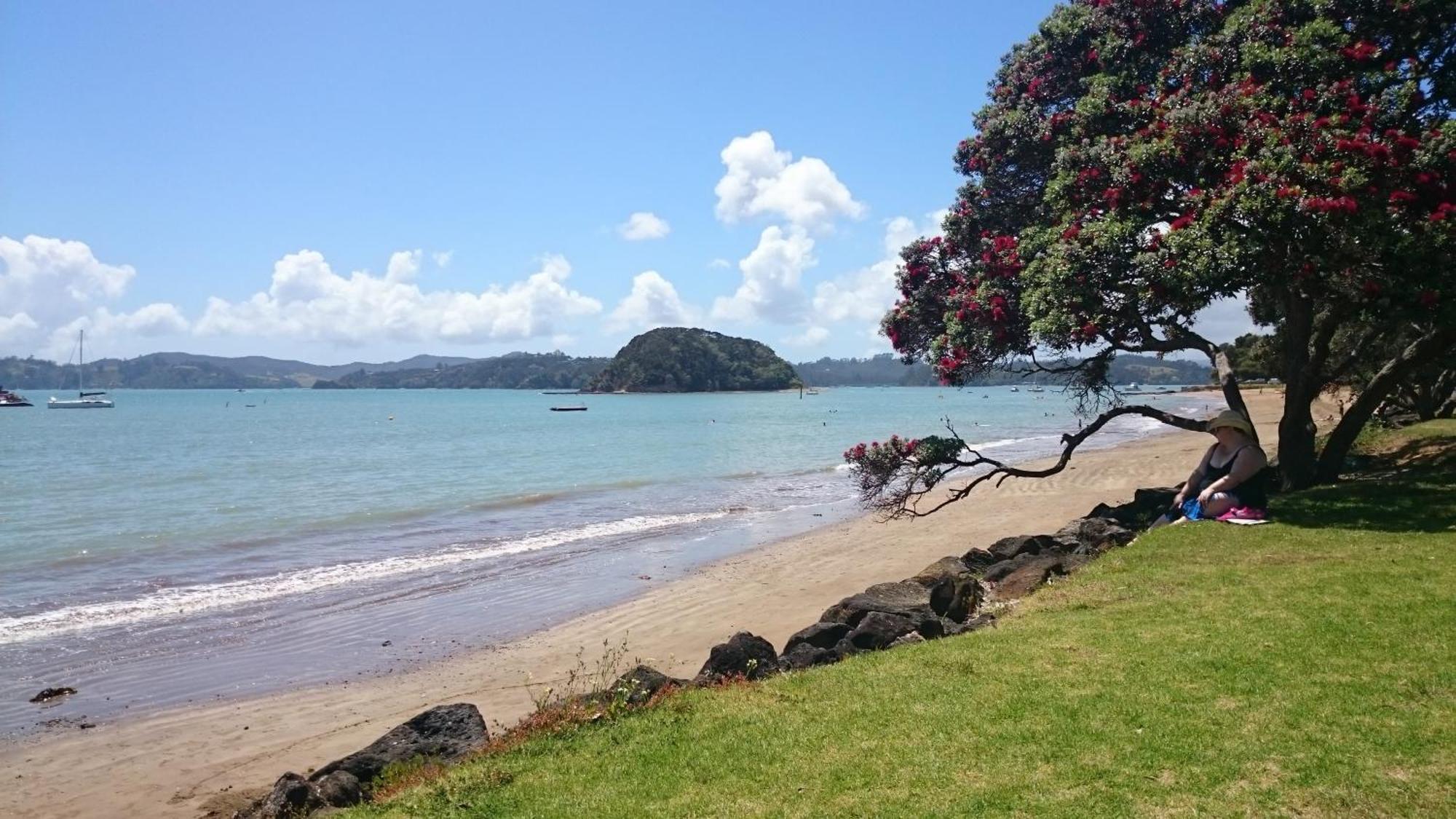 Ala Moana Motel Paihia Exterior foto